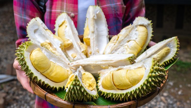 Realising the durian’s growing popularity, Tourism Malaysia has compiled an e-guidebook on various types of durian packages and tour operators across 12 Malaysian states.