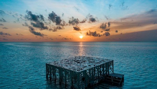 Fairmont Maldives' Coralarium is the world’s first semi-submerged art gallery that doubles up as a site for coral regeneration.