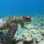 A fun and sustainable vacation in the Maldives is as easy as 1-2-3