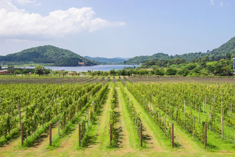 Pattaya is spotlighting three local community-based routes to diversify tourism beyond its popular beach and nightlight attractions.
