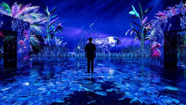 Titled "Jungle Glow", this digital installation immerses guests in a surrealistic jungle filled with bioluminescent creatures.