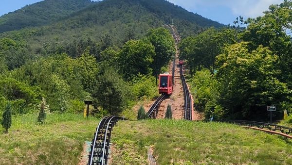 Opened in 2020, the Mungyeong Dansan Tourist Monorail offers a thrilling ascent up Mount Dan.