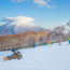 Let it snow tourists at Niseko