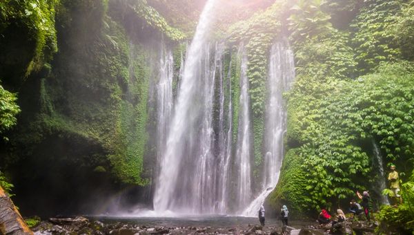 Tiu Kelep Waterfall lies deep in North Lombok’s rainforest, accessed by a jungle trek, where clear water cascades into a cool, shaded natural pool.