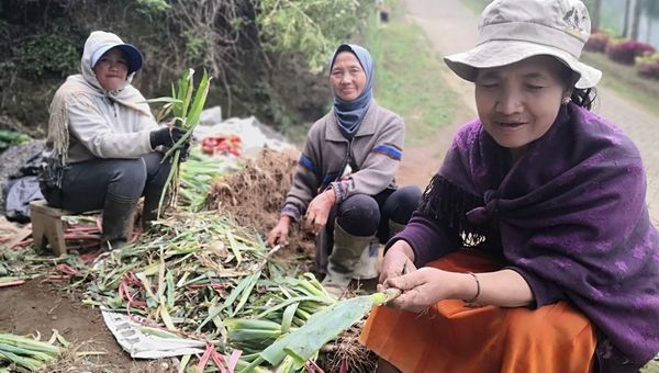 Travellers can meet the Tengger people, who settled in the region centuries ago, at vegetable plantations to experience the harvest and appreciate their traditions.