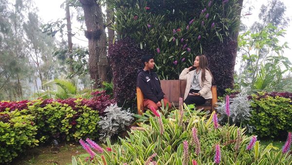 Plataran Bromo's Highland Flower Garden showcases vibrant local flora, including orchids and begonias, offering visitors a peaceful, scenic escape amidst Mount Bromo's dramatic landscape.