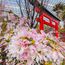 Where are the world’s most Instagrammable places?