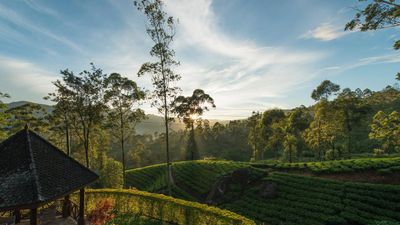With the crowds out of the way, tourists can better enjoy Sri Lanka in all its unspoilt natural glory.
