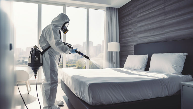 South Korea is currently experiencing a surge in bedbug infestations.