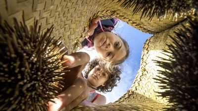 New Zealand wants to attract curious travellers.