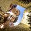 Hey, big spender: Kiwis want you spend time with them