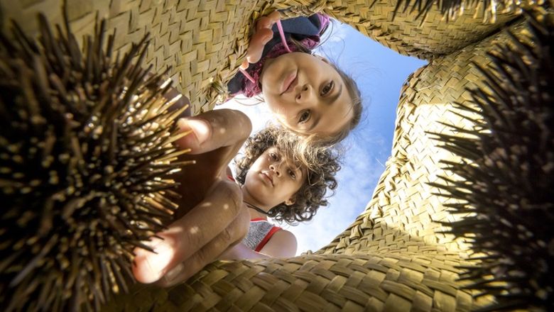 Hey, big spender: Kiwis want you spend time with them: Travel Weekly Asia