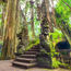 Tourists killed in Bali monkey forest tragedy