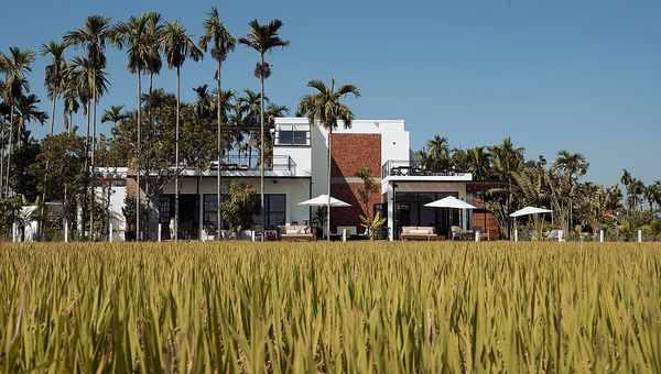 Tok is nestled among Hoi An’s rice paddy fields.