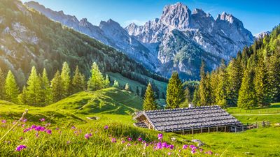 Swiss Alps
