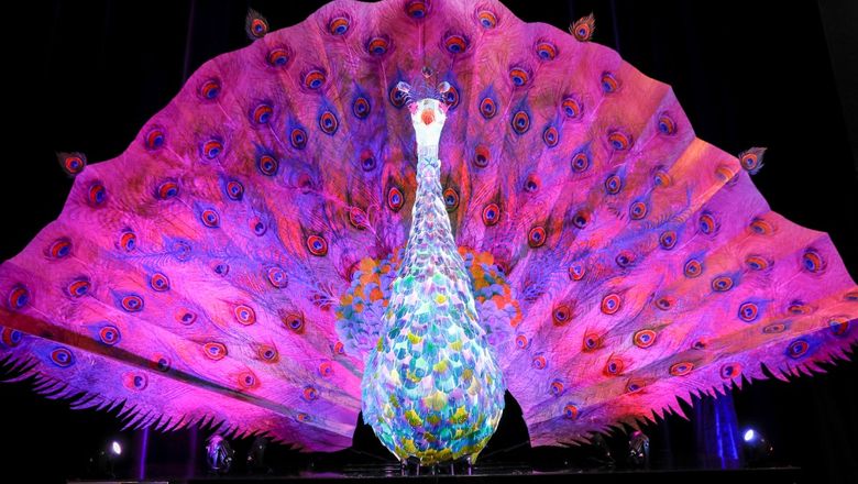 Sydney will turn on the lights from May 24.