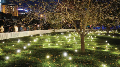 The Firefly Field at The Promontory at Marina Bay.