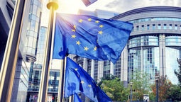 The EES replaces passport stamping and automates border control procedures.