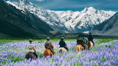 New Zealand is adopting a phased approach to reconnect with the world.