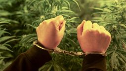 Singaporeans found guilty of consuming cannabis overseas can be jailed up to 10 years.