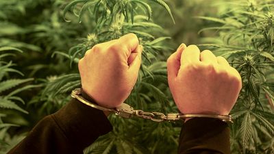 Singaporeans found guilty of consuming cannabis overseas can be jailed up to 10 years.