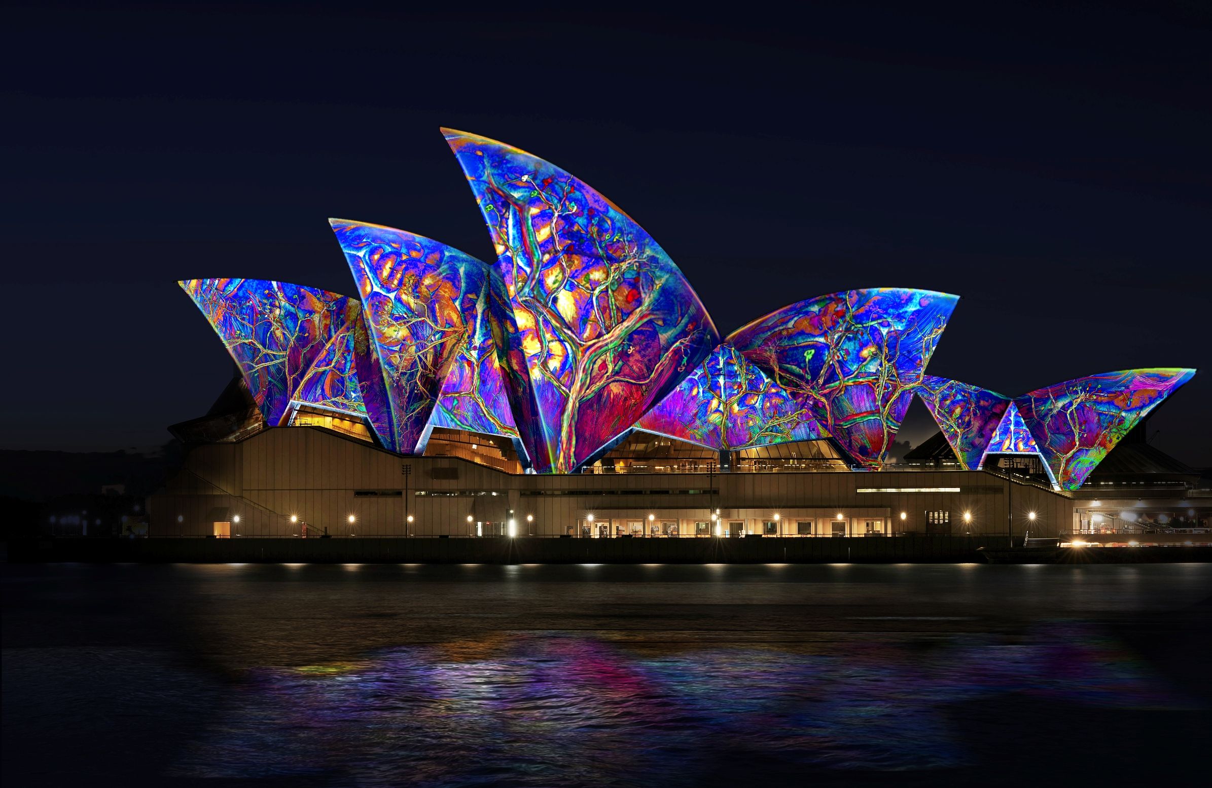 All aglow, Sydney Opera House during the Vivid Sydney festival