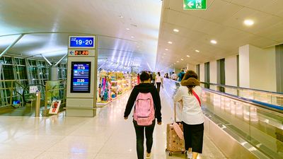 Failure to comply could result in longer wait times at immigration counters, authorities cautioned.