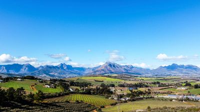 Cape Winelands