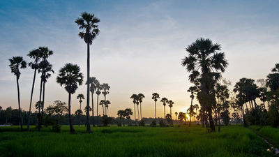 A wall between Vietnam and Cambodia would be ‘a joke’, says government