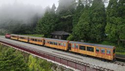 The Alishan Forest Railway is back on track with two new charter trains.