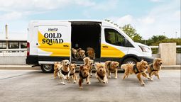 The Gold Squad is being used by Hertz to promote its free loyalty programme.
