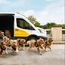 Hertz enlists loyal dogs to promote loyalty programme