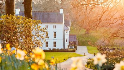 Among the 390 SLH properties newly added to Hilton's portfolio is the Grove of Narberth in the UK, a luxury country house hotel nestled in Pembrokeshire's countryside.