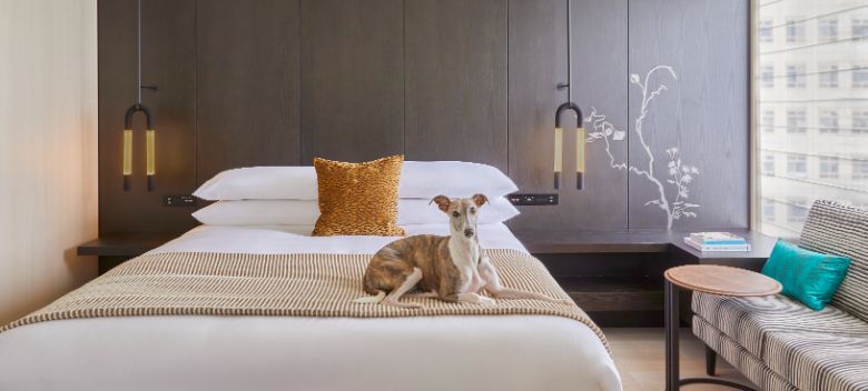 Kimpton Shinjuku Tokyo was added to IHG's APAC portfolio in 2020.