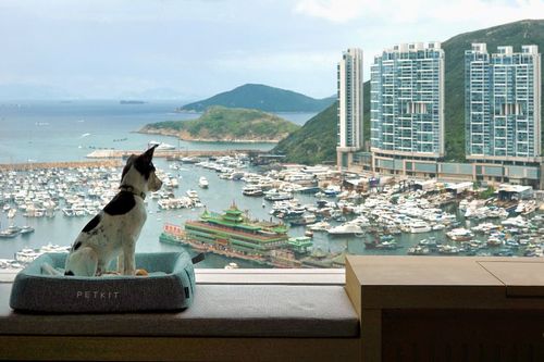 Yulan Group opened its second boutique hotel, The Arca in June 2021, which offers pet staycation, just like its sister hotel, The Figo. Yulan Group opened its second boutique hotel, The Arca in June 2021, which offers pet staycation, just like its sister hotel, The Figo.