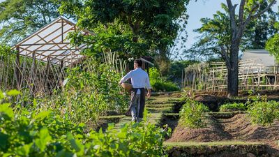 Ayana Farm’s guided tours showcase traditional methods and diverse produce grown using organic farming practices in Bali.