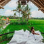 Bali fights back against illegal accommodations