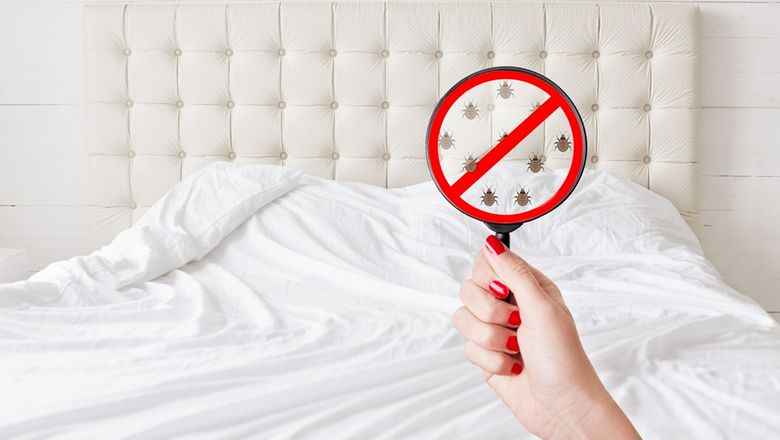 Properties can be independently verified for bed bug safety.