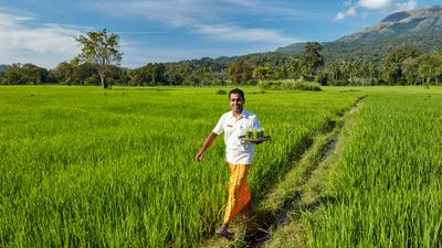 Jetwing Kaduruketha