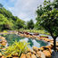 Look what’s green and lush in Nha Trang