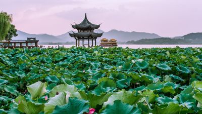 Situated in Hangzhou's Shangcheng District, the hotel offers 196 rooms and suites, catering to both business and family travellers.
