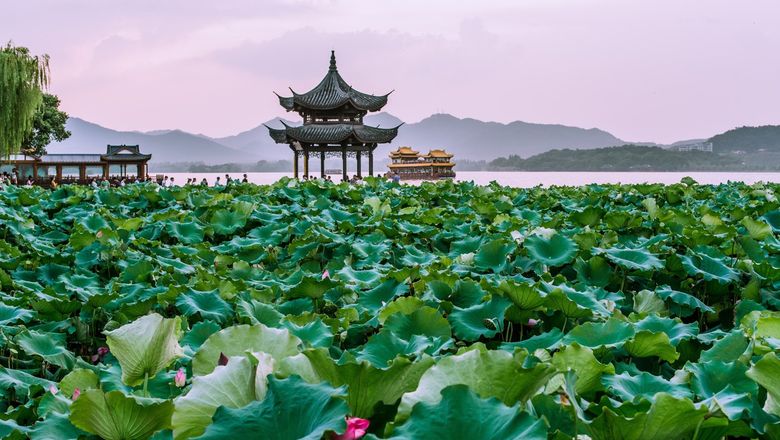 Situated in Hangzhou's Shangcheng District, the hotel offers 196 rooms and suites, catering to both business and family travellers.