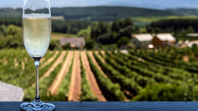 Discover Catalonia’s cava traditions with Mandarin Oriental, Barcelona.
