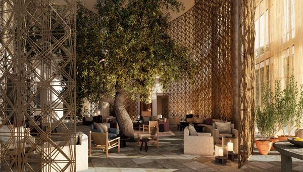 Janu Montenegro Lobby