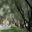 2018 Luxury Trends: Intuitive dining, curated sleep and more