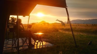 Safari lodges and presidential suites on cruise ships often sell out the fastest due to their limited inventory.