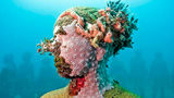 Molinere Bay Coral Garden Vicissitudes – one of the past works by British sculptor Jason deCaires Taylor. Molinere Bay Coral Garden Vicissitudes – one of the past works by British sculptor Jason deCaires Taylor.