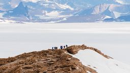 Lindblad Expeditions buys into luxury Antarctic specialist White Desert