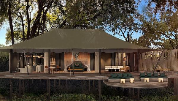 North Island Okavango offers only three tents, each situated around a cluster of trees with lagoon views.