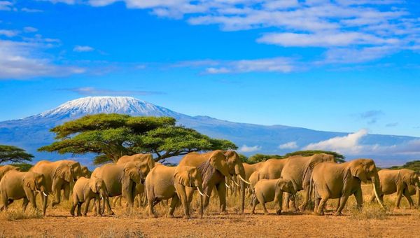 India’s luxury market is increasingly turning to emerging destinations like Scandinavia India’s luxury market is increasingly turning to emerging destinations like Scandinavia